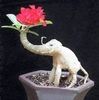 nguyenhoang656